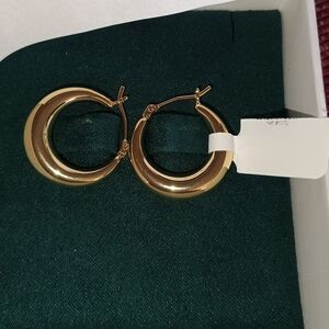 Elegant Gold Hoop Earrings